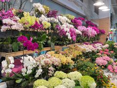 -双季花艺园艺市场(浦东店)