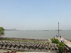 -上海滨江森林公园