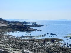 -养马岛旅游度假区