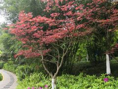 -龙头寺公园