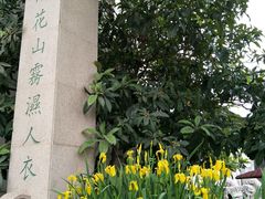 -雨花胜境