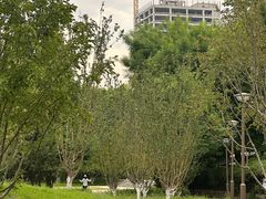 -元大都城垣遗址公园