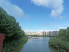 -南翔镇银翔湖公园