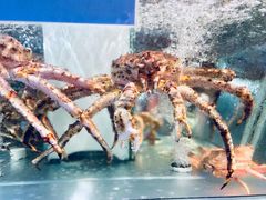 -盒马鲜生(悠方店)