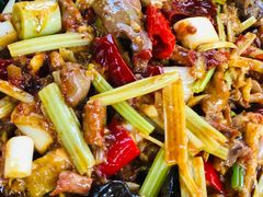 -青城甲(青城山店)