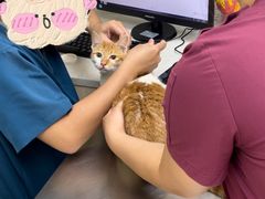 -爱诺耐芙动物医院(万博店)