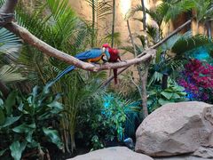 -杭州开元森泊度假乐园