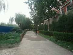 -丰台科技园生态主题公园