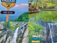 -洛阳白云山景区