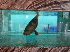 -惠东华美达广场酒店华美轩