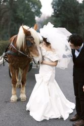 -南京宝娜嫁衣婚纱礼服馆(中央路店)