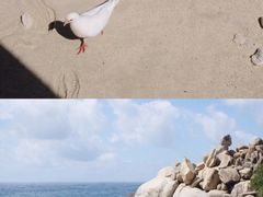-三亚蜈支洲岛旅游区