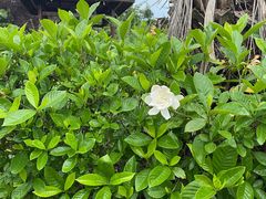 -咸宁温泉谷大酒店