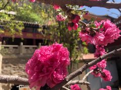 -土楼观-北禅寺
