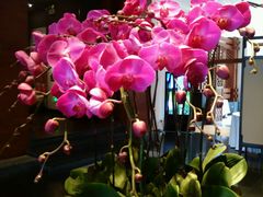 android_upload_pic-黔蘑菇四季餐厅(观山湖店)