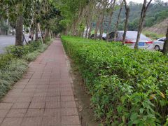 -鲤鱼塘农家山庄