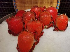 -盛宴自助餐厅(运达喜来登店)