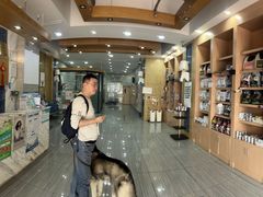 -瑞派名望志远动物医院·猫科·內科·异宠专科(直港大道店)