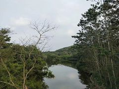 -大屏嶂森林公园