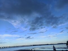 -宝安西湾红树林湿地公园