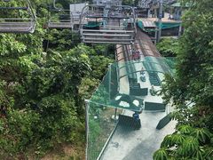 -圣淘沙天际线斜坡滑车