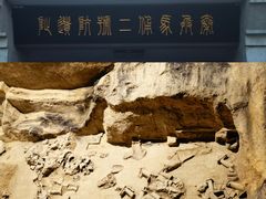 -秦始皇帝陵博物院(兵马俑)