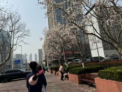 -爱舍海岸酒店(香港中路五四广场店)