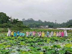 -宾果蒙特梭利托育儿童之家幼儿园(爱琴海店)