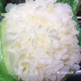 菜场美丽春季食物