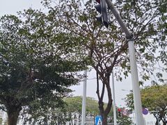 -三亚市第二中学