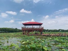 -嘉北郊野公园
