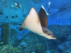 -横店影视城梦幻谷园区