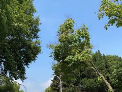 -东坡赤壁风景名胜区