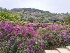 -南国桃园旅游度假区