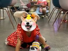 -Lilliput粒粒堡亲子餐厅(置汇旭辉店)