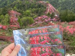 -岳西天峡风景区