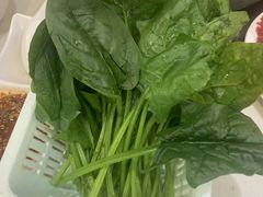 -黑山牛肉汤火锅(花城汇店)