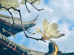-龙华寺