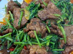 -呼吸森林·生态农庄农家乐私房菜