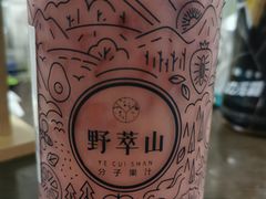 -野萃山·潮汕厚果汁(十亩地店)