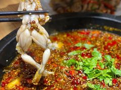 -销魂美蛙鱼头火锅(上海首店)