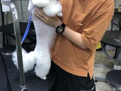 -PETKIT小佩宠物(昭化店)