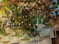 -巴特餐饮6加1音乐餐吧·新疆菜