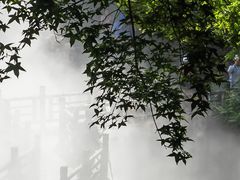 -北京西山国家森林公园