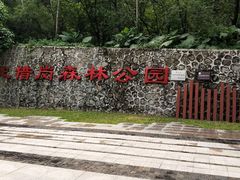 -王借岗森林公园
