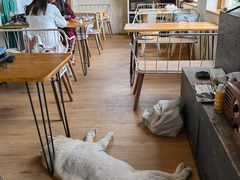 -小时光咖啡馆(开森度假森林店)