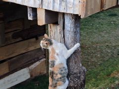 -泸沽湖国家级风景名胜区走婚桥