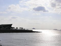 -野狸岛