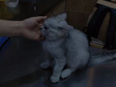 -瑞派名望24h动物医院异宠专科·猫专科·骨科·重症监护分院