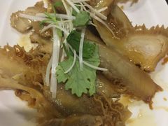 卤牛肚-友乐达台北精致面馆(张江店)